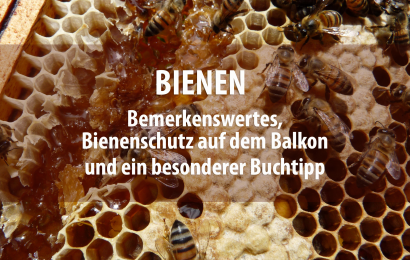 Bienenspecial: Bemerkenswertes, Tipps für den Bienenschutz auf dem heimischen Balkon und ein besonderer Buchtipp