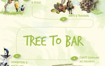 Tree-to-bar bei ForestFinance: Vom Setzling bis zur Schokolade