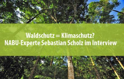 Waldschutz = Klimaschutz? NABU-Experte Sebastian Scholz im Interview