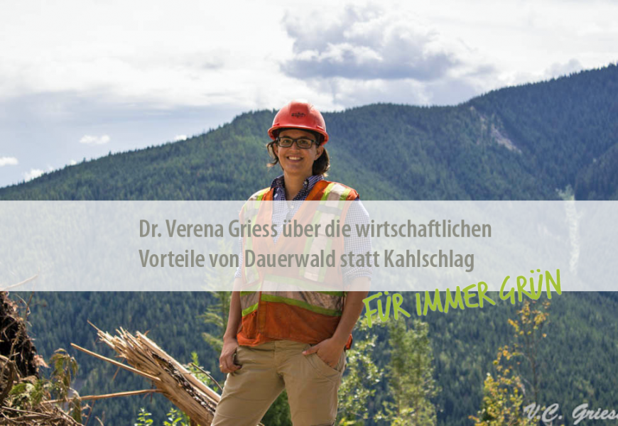 Für immer grün: Dr. Verena Griess über die wirtschaftlichen Vorteile von Dauerwald statt Kahlschlag