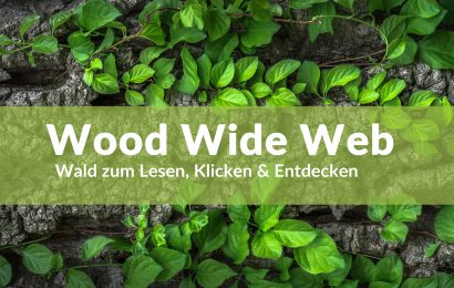 Wood Wide Web – Wald zum Lesen, Klicken & Entdecken