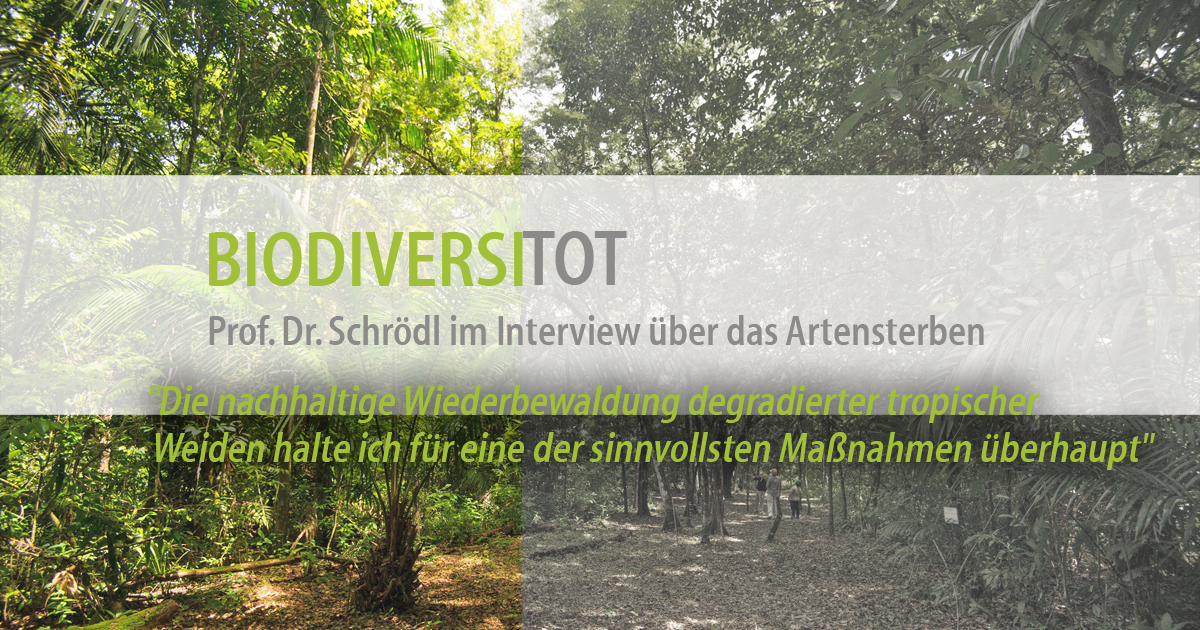 Biodiversitot – ForestFinance-Kunde Prof. Dr. Michael Schrödl im Interview über das Artensterben. Foto: ForestFinance