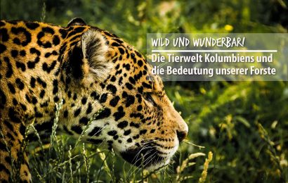 Wild und wunderbar! Die Tierwelt Kolumbiens und die Bedeutung unserer Forste