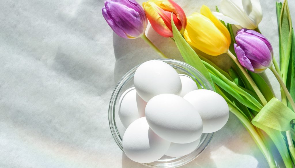 Der Frühling ist da! Zeit für nachhaltige Ostern.
