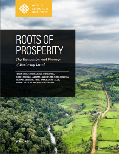 Der World Resources Institute-Report "Roots of Prosperity" analysiert Kosten und Nutzen der Renaturierung degradierter Flächen. 