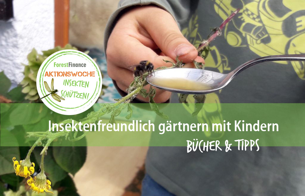 Insektenfreundlich gärtnern mit Kindern neue Bücher & Tipps