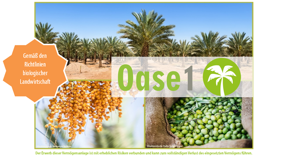 Mit dem neuesten Produkt von ForestFinance können Sie direkt in Bio-Datteln und -Oliven investieren.