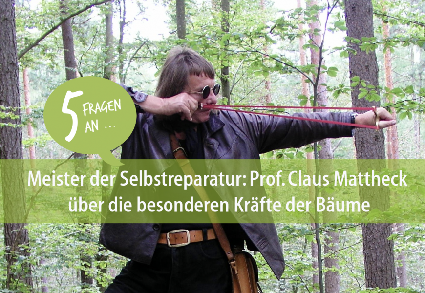 Meister der Selbstreparatur: Prof. Claus Mattheck über die besonderen Kräfte der Bäume