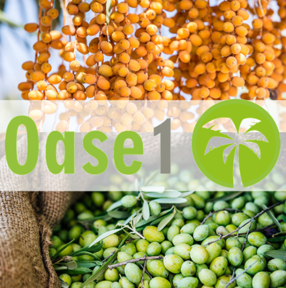 Oase1