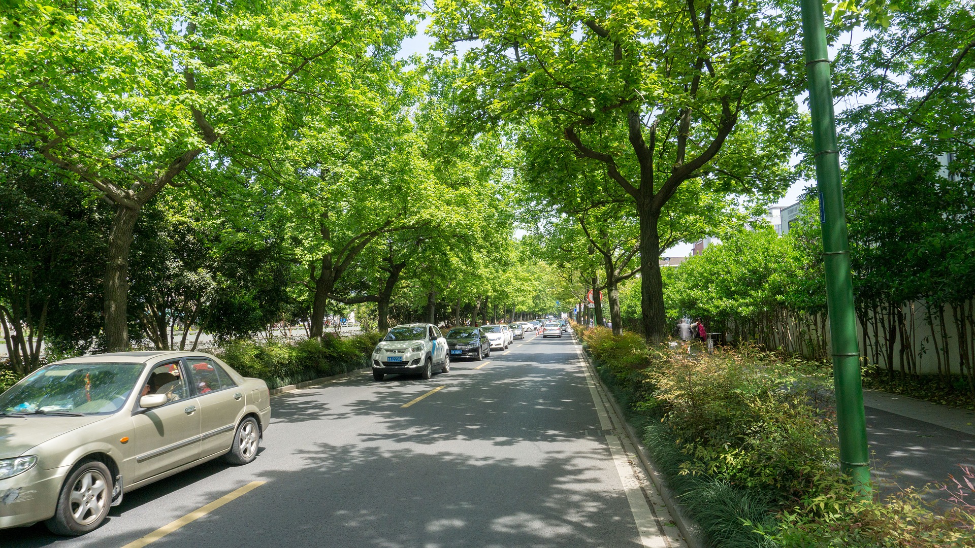 Straße mit Bäumen in der Stadt