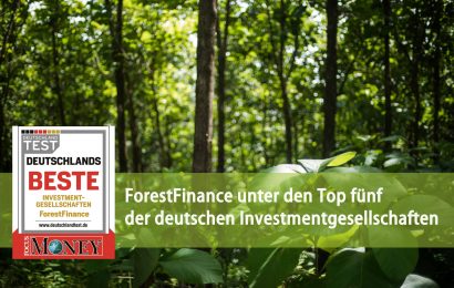 Focus Money: ForestFinance unter den Top fünf der deutschen Investmentgesellschaften