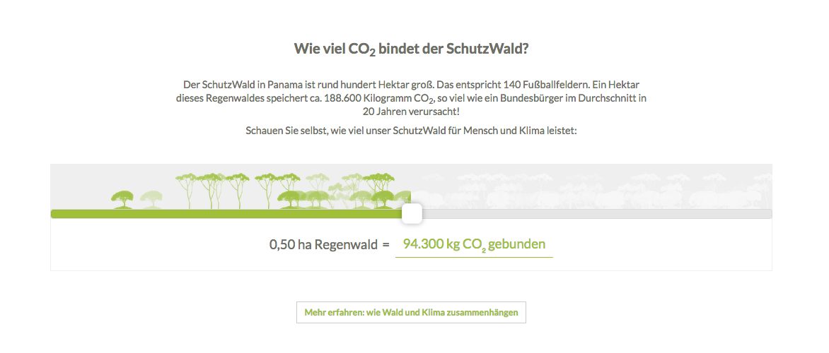 Auf unserer SchhutzWald-Seite können Sie online berechnen, wie viel klimaschädliches CO2 vom Regenwald gebunden wird.