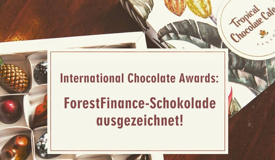 International Chocolate Awards