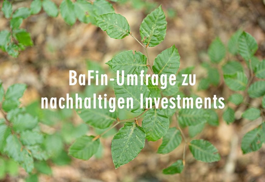 BaFin-Umfrage zu nachhaltigen Investments