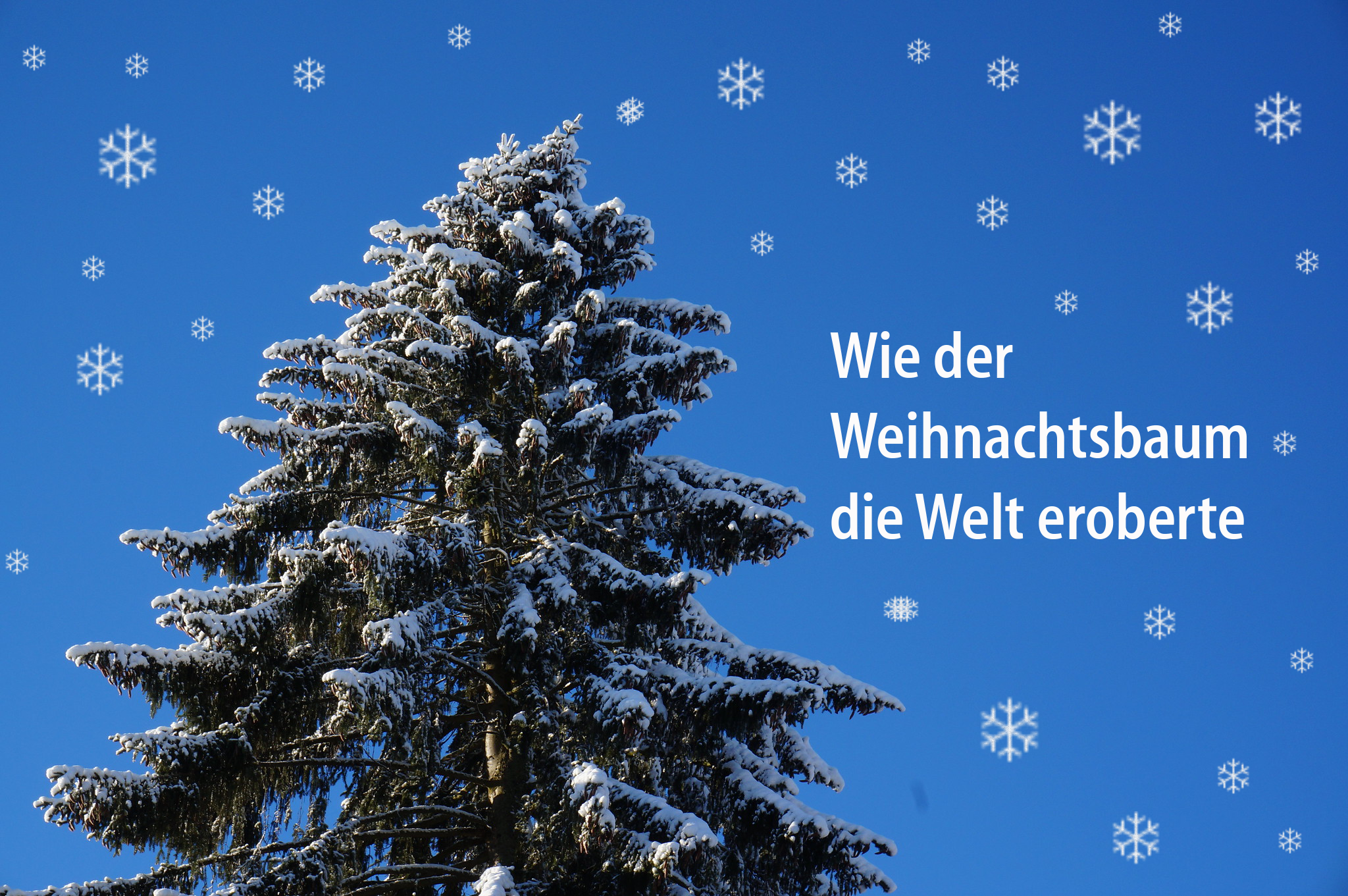 Hündchenstellung der Deutschen im verschneiten Wald Hündchenstellung der Deutschen im verschneiten Wald