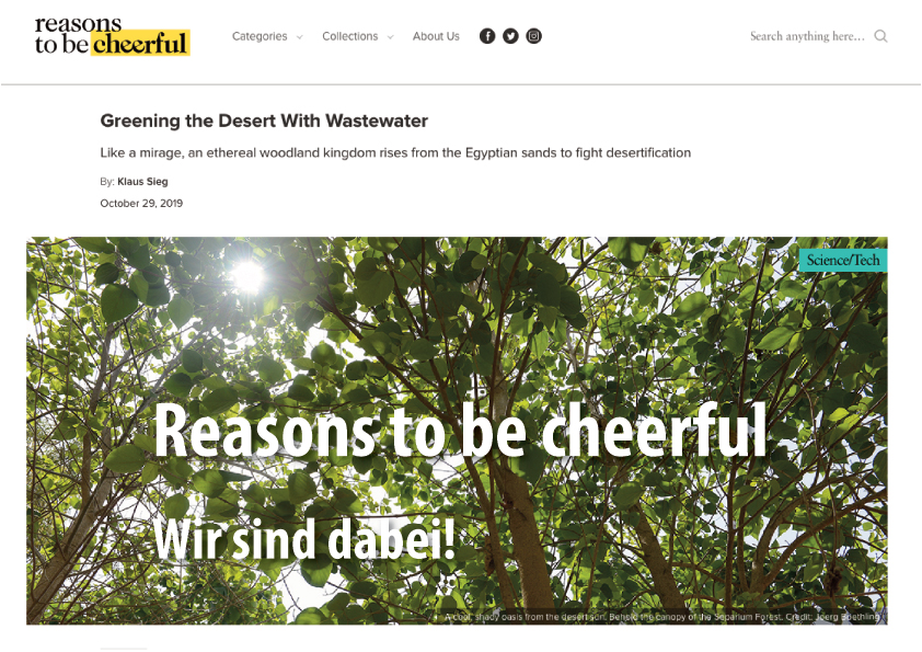 ForestFinance-Projekt auf David Byrnes Webseite „Reasons to be cheerful“