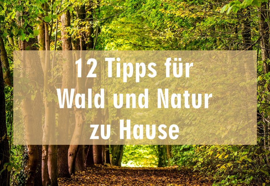 12 Tipps und Empfehlungen um Wald und Natur nach Hause zu holen