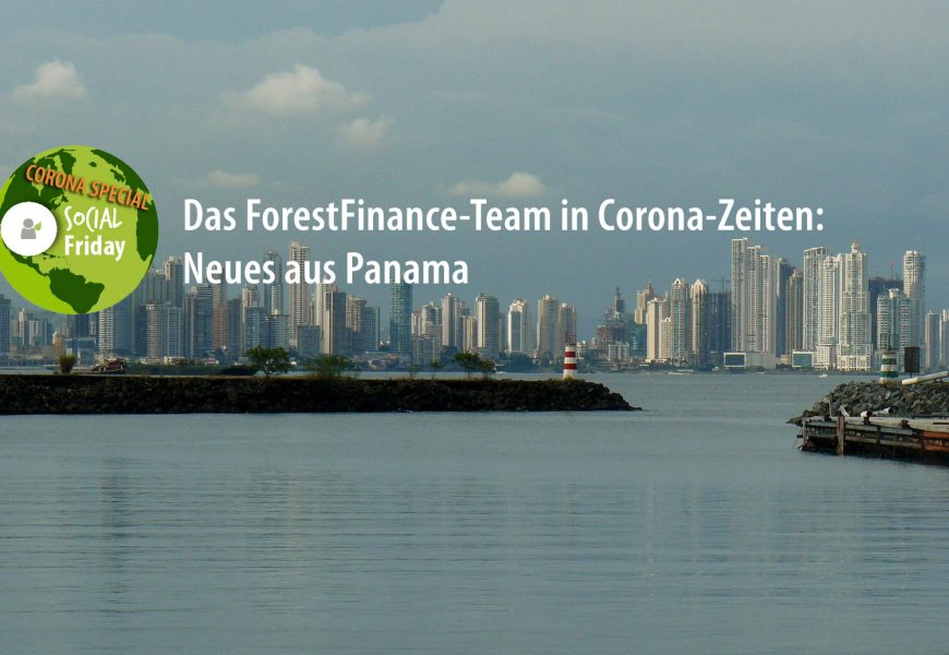 Das ForestFinance-Team in Zeiten von Corona: