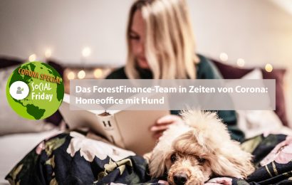 Das ForestFinance-Team in Zeiten von Corona