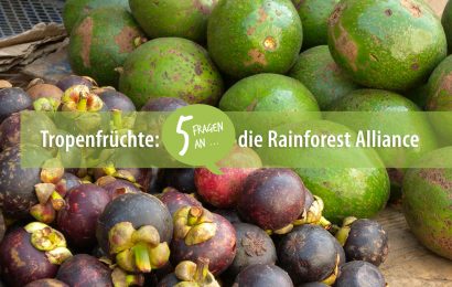 Tropenfrüchte: 5 Fragen an die Rainforest Alliance