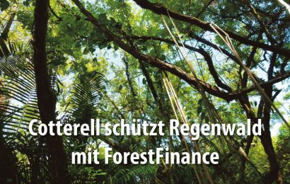 Klimaneutrales Unternehmen: Cotterell schützt Regenwald mit ForestFinance