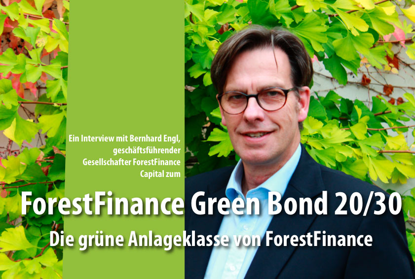 ForestFinance Green Bond 20/30 – die grüne Anlageklasse von der ForestFinance Capital GmbH