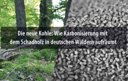 Die neue Kohle: Wie Karbonisierung mit dem Schadholz in deutschen Wäldern aufräumt