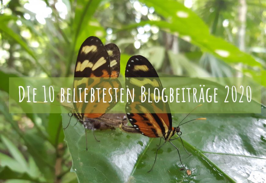 Top 10: die zehn beliebtesten Blogbeiträge 2020