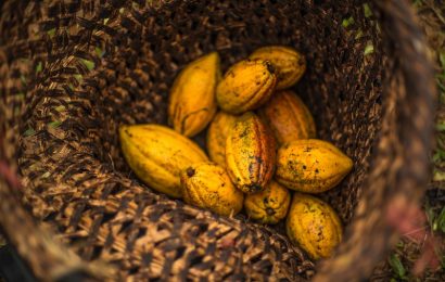 Kakao mit (Welt)Klasse: Drei Dinge, die Sie über unsere Schokolade wissen sollten