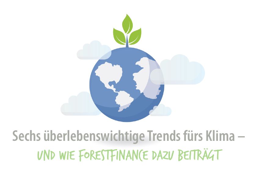 Beitragsbild Klimaschutz & ForestFinance