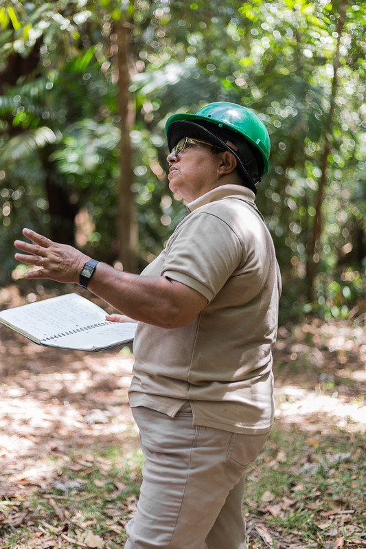 Yaels Camacho - Forstwirtin in Panama managed vor Ort die Forstprojekte.