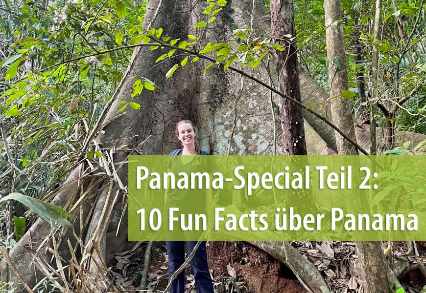 Panama-Special Teil 2: 10 Fun Facts über Panama