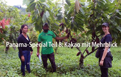 Panama-Special Teil 8: Kakao mit Mehrblick